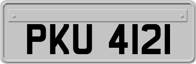 PKU4121