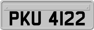 PKU4122