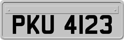 PKU4123