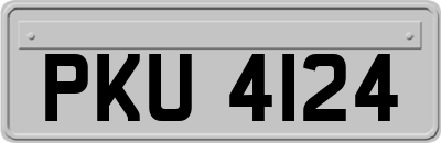 PKU4124