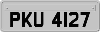 PKU4127