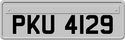 PKU4129