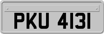 PKU4131