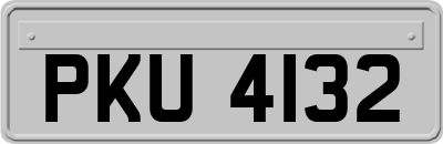 PKU4132