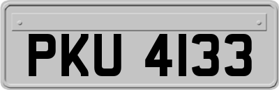 PKU4133