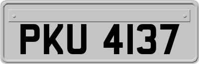 PKU4137