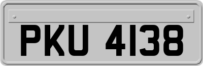 PKU4138