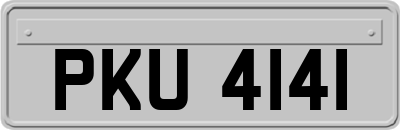 PKU4141