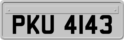 PKU4143