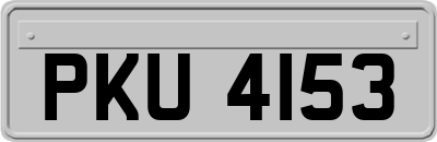 PKU4153
