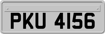 PKU4156
