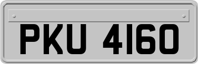 PKU4160
