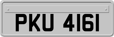 PKU4161