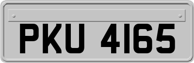 PKU4165