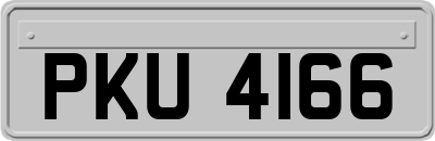 PKU4166