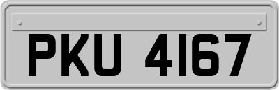 PKU4167