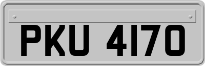 PKU4170