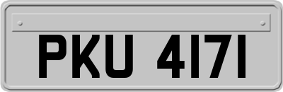 PKU4171