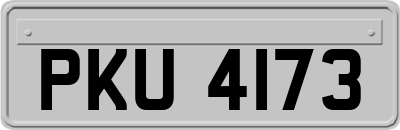 PKU4173