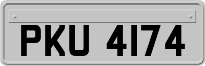 PKU4174