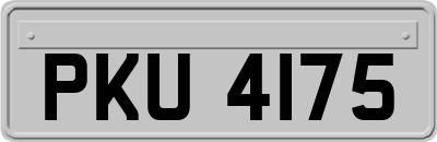 PKU4175