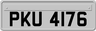 PKU4176