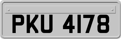 PKU4178