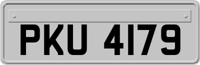 PKU4179