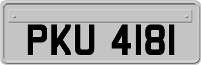 PKU4181
