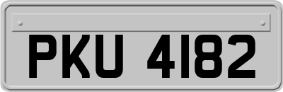 PKU4182