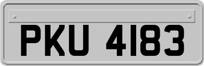 PKU4183