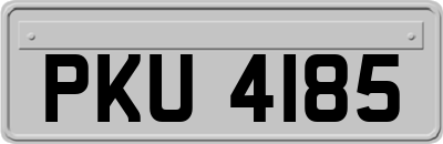PKU4185