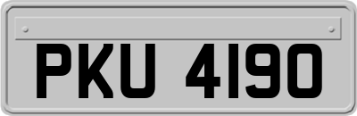PKU4190