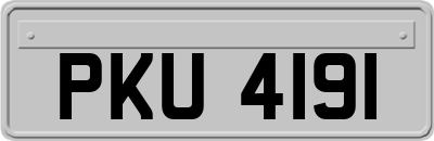 PKU4191