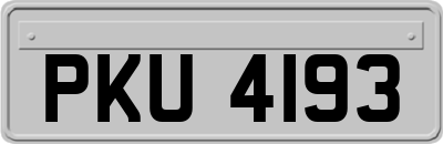 PKU4193
