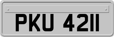 PKU4211