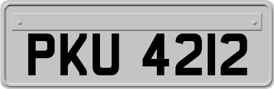 PKU4212