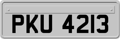 PKU4213