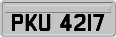 PKU4217