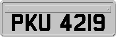PKU4219