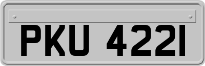 PKU4221