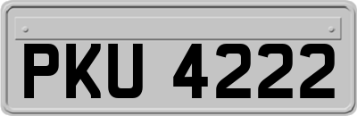 PKU4222