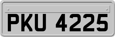 PKU4225
