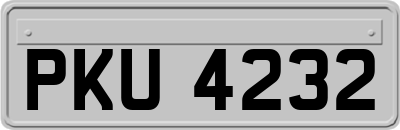 PKU4232