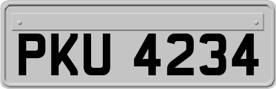 PKU4234