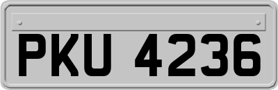 PKU4236