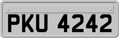 PKU4242