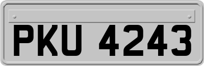 PKU4243