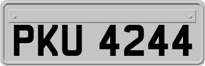 PKU4244