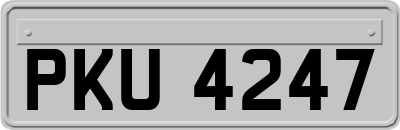 PKU4247